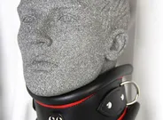 Extreme Posture Collar